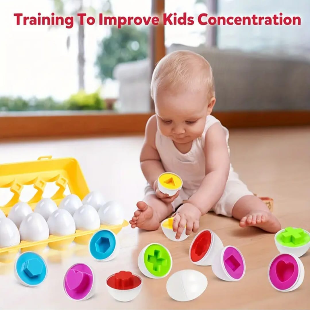 Educational Egg Sorting toy for Babies - Boite d'œufs éducative pour bébé