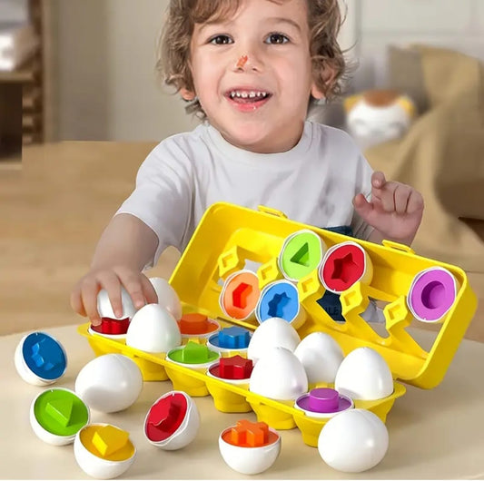 Educational Egg Sorting toy for Babies - Boite d'œufs éducative pour bébé