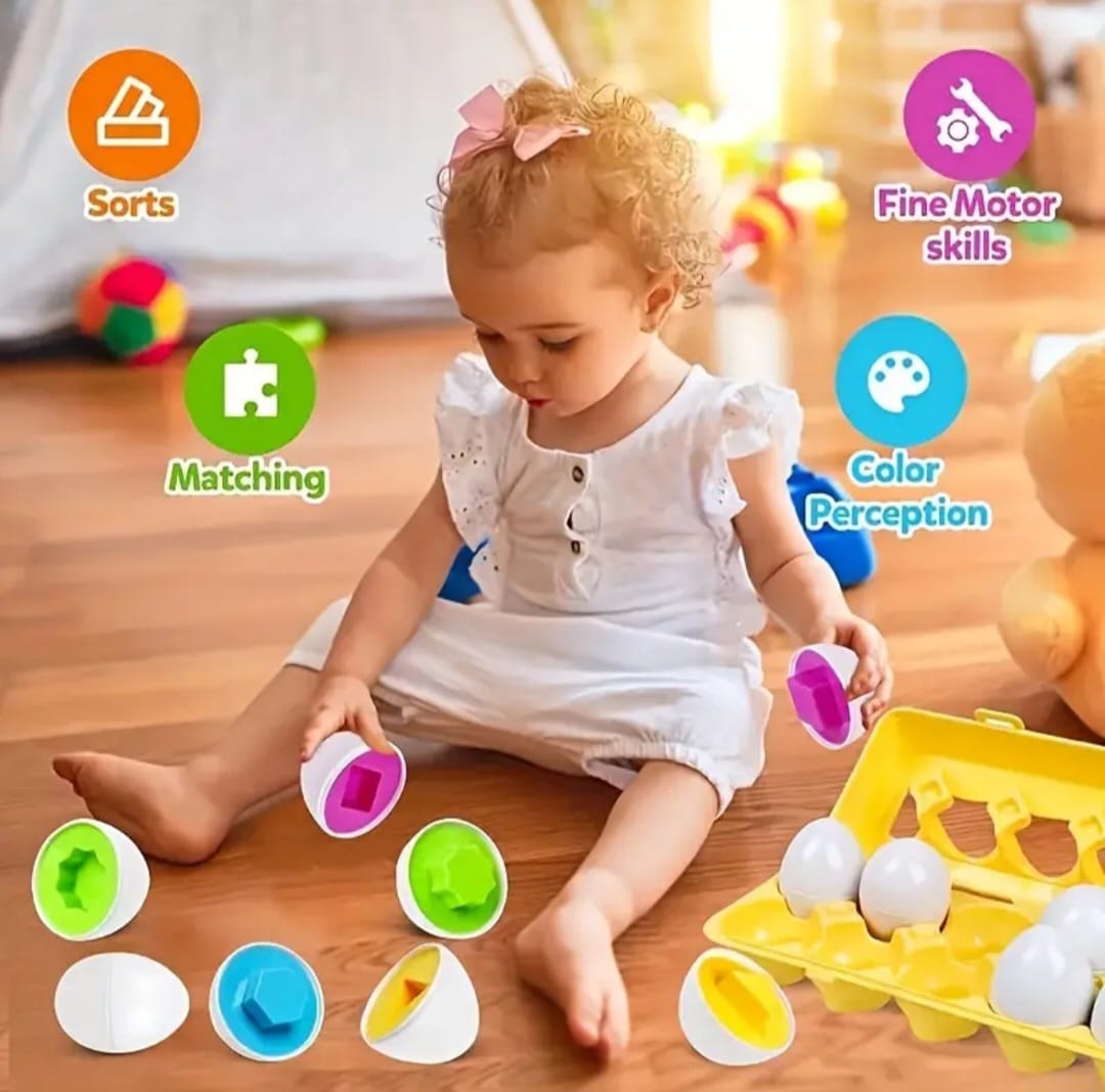 Educational Egg Sorting toy for Babies - Boite d'œufs éducative pour bébé